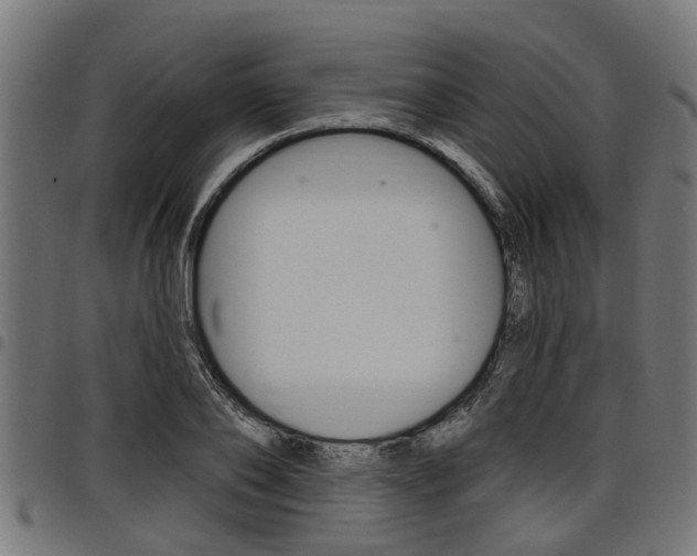 X0000098010886200803280728