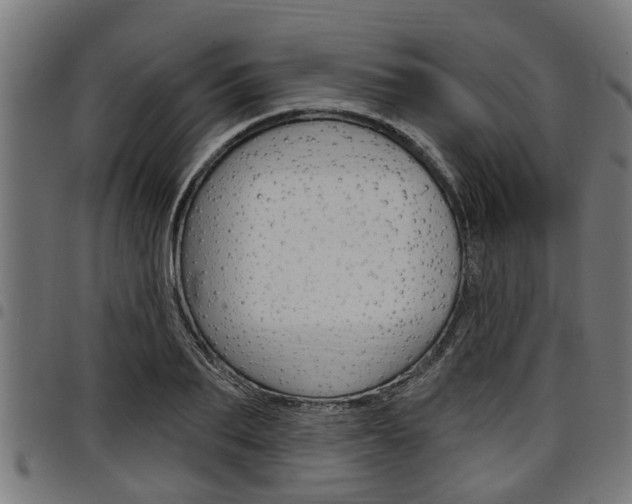 X0000098010887200803280728