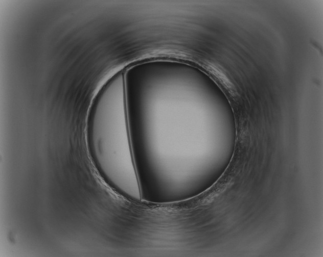 X0000098010888200803280728