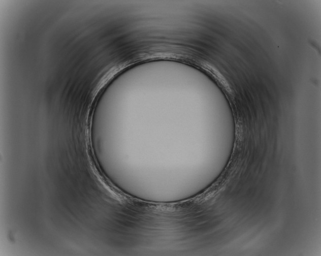 X0000098010890200803280728