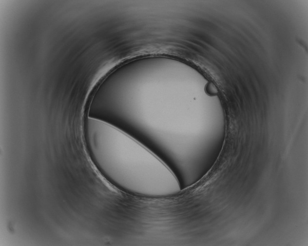 X0000098010894200803280728