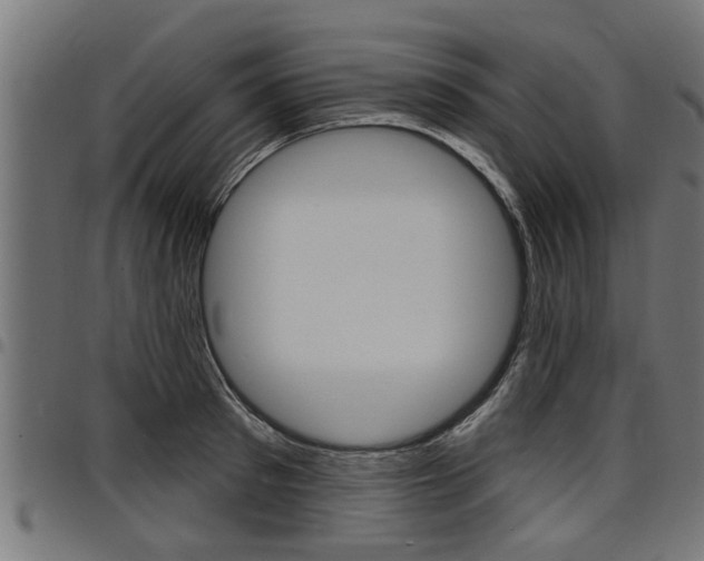 X0000098010897200803280728