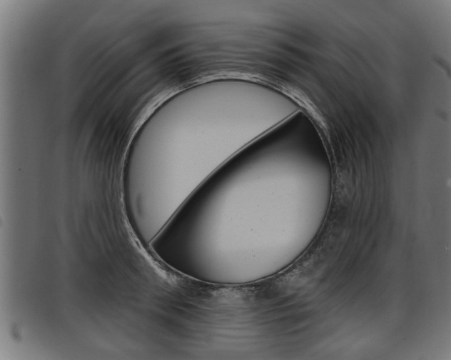 X0000098010898200803280728