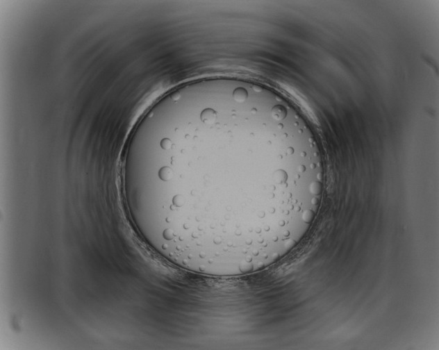 X0000098010899200803280728