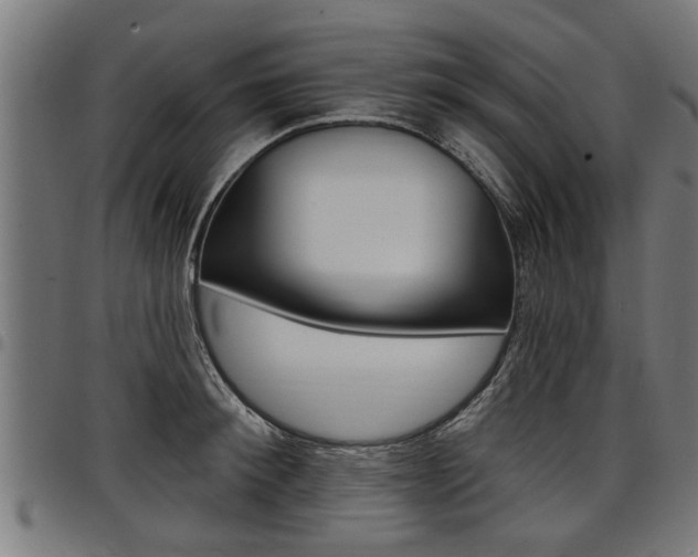 X0000098010900200803280728