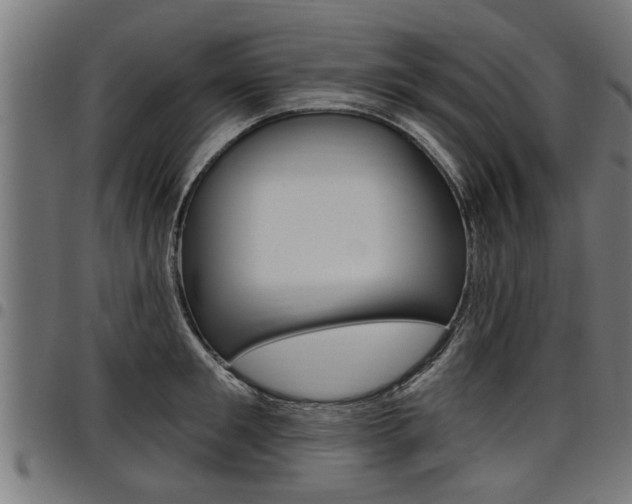 X0000098010901200803280728