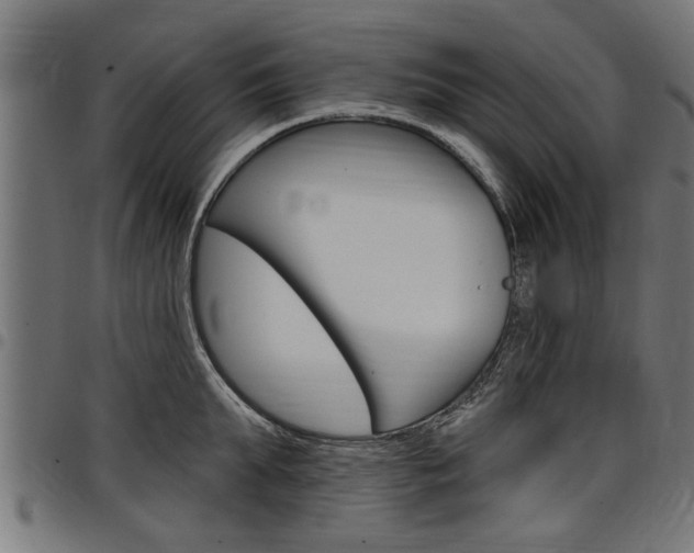 X0000098010903200803280728