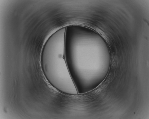 X0000098010904200803280728