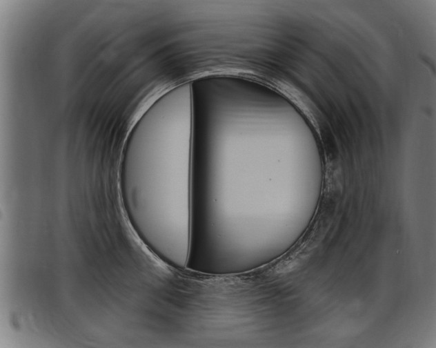 X0000098010906200803280728