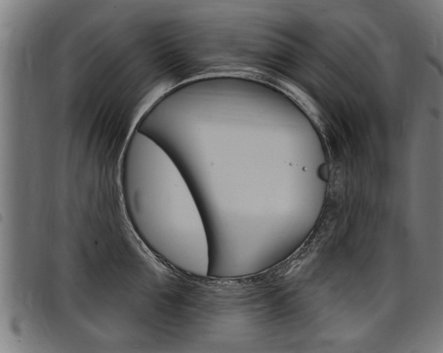 X0000098010907200803280728