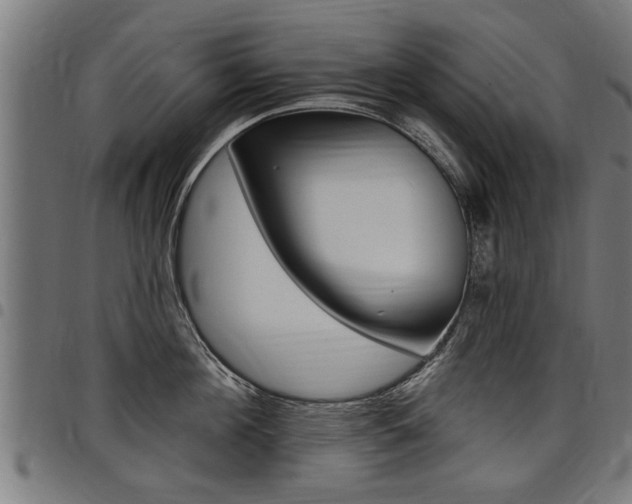 X0000098010908200803280728