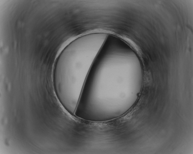 X0000098010910200803280728