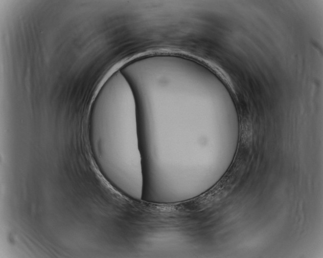 X0000098010911200803280728