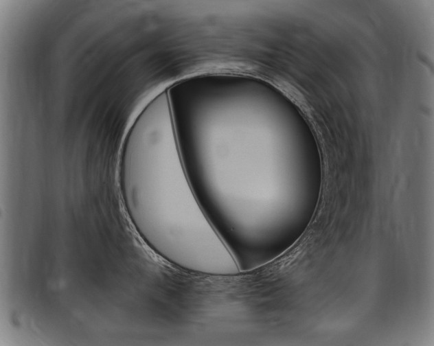 X0000098010912200803280728