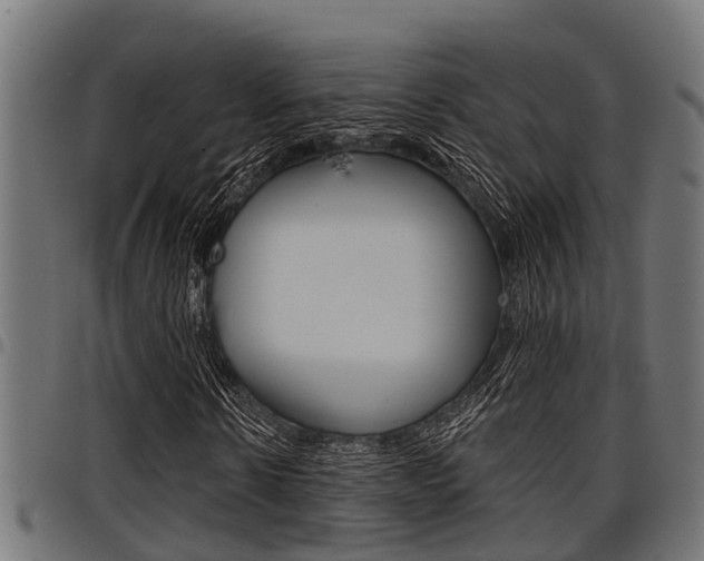 X0000098010914200803280727