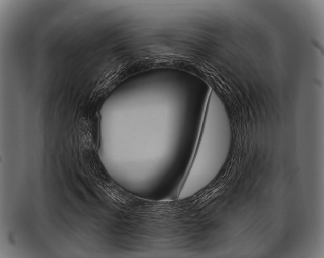 X0000098010916200803280727
