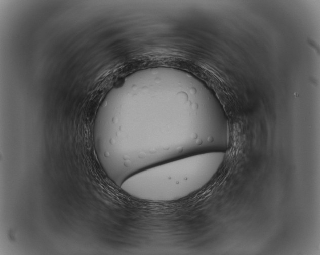 X0000098010917200803280727