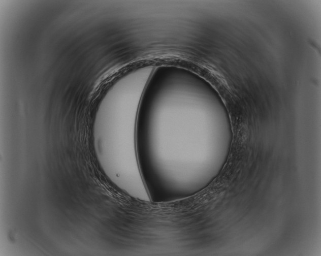 X0000098010920200803280727