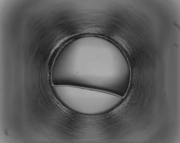 X0000098010923200803280727