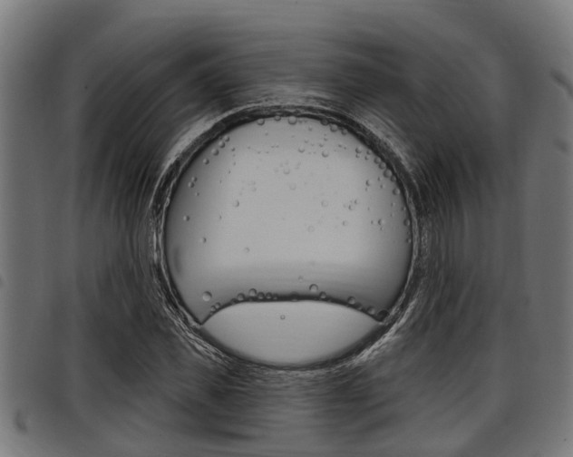 X0000098010925200803280727