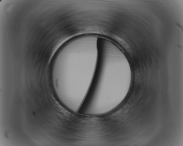 X0000098010926200803280727
