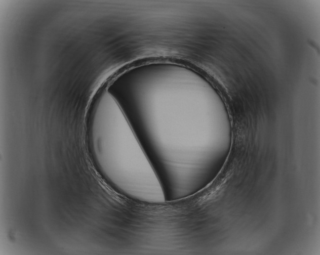 X0000098010927200803280727