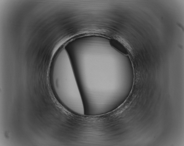 X0000098010928200803280727