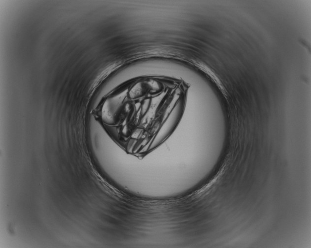 X0000098010930200803280727