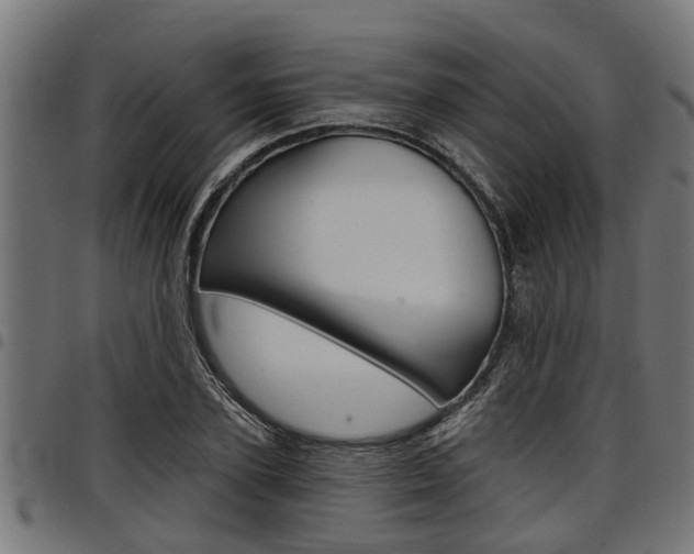 X0000098010931200803280727