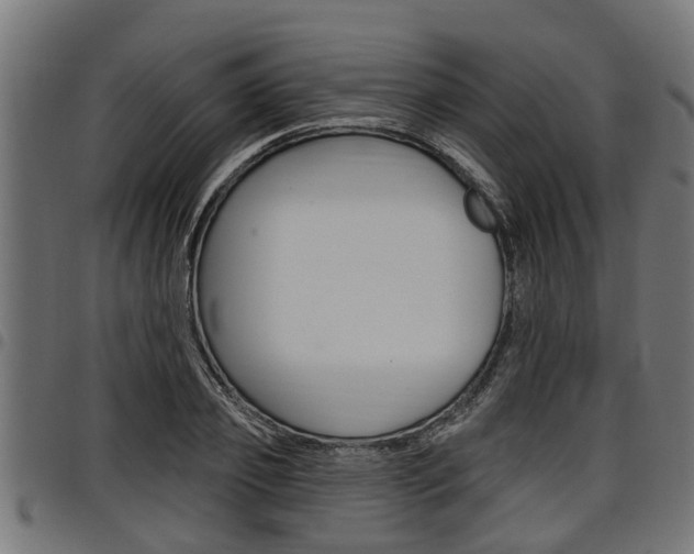 X0000098010933200803280727