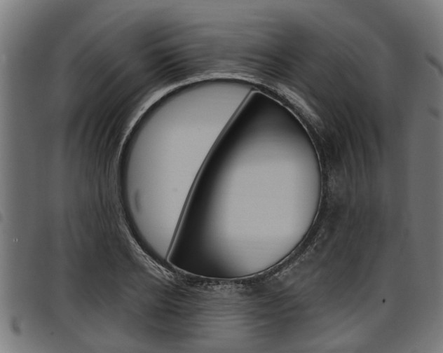 X0000098010934200803280727