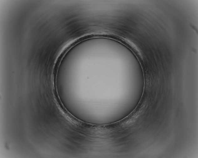 X0000098010935200803280727