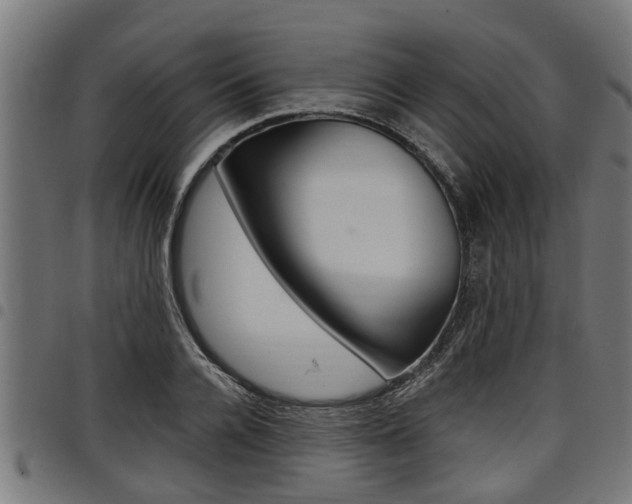 X0000098010936200803280727