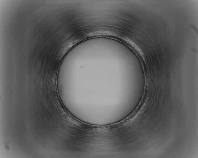 X0000098010937200803280727