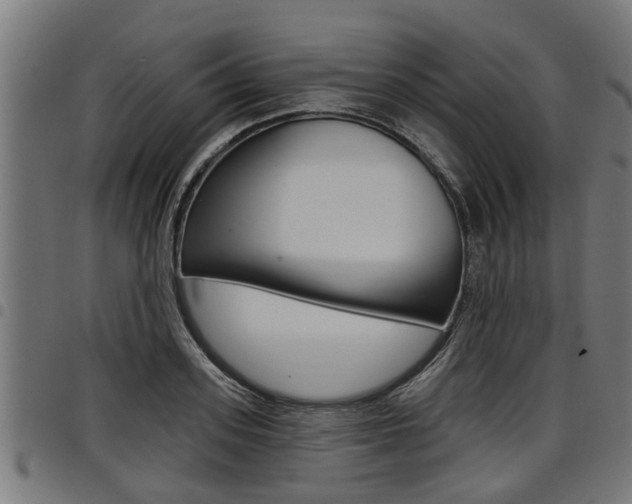 X0000098010939200803280727