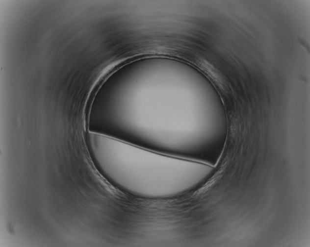 X0000098010940200803280727