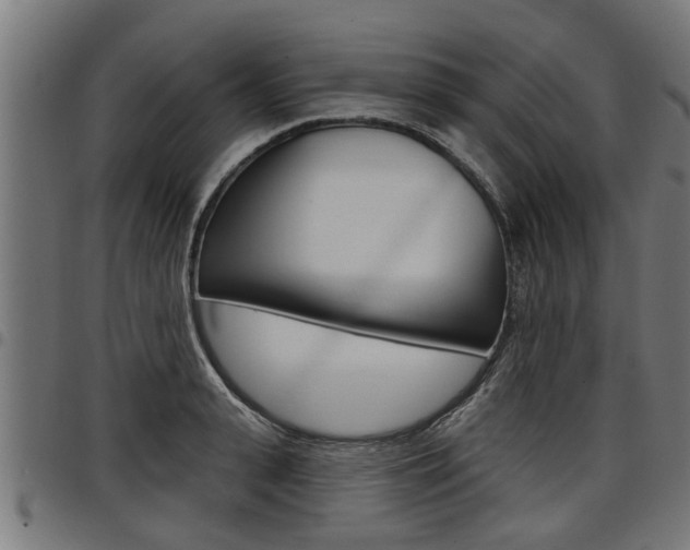 X0000098010943200803280727