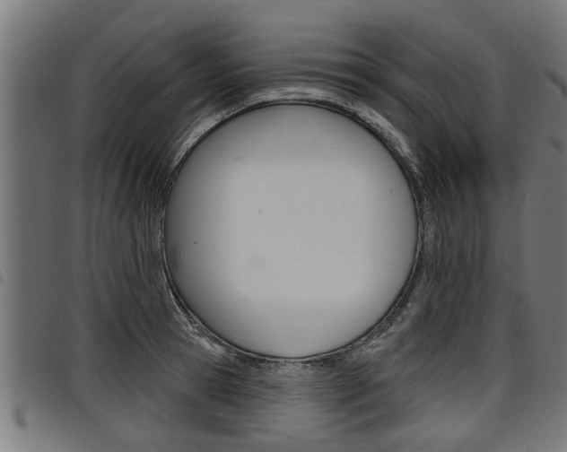 X0000098010945200803280728