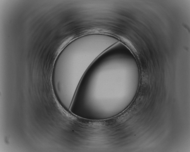 X0000098010946200803280728