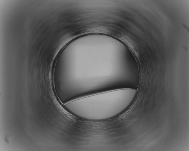 X0000098010947200803280728