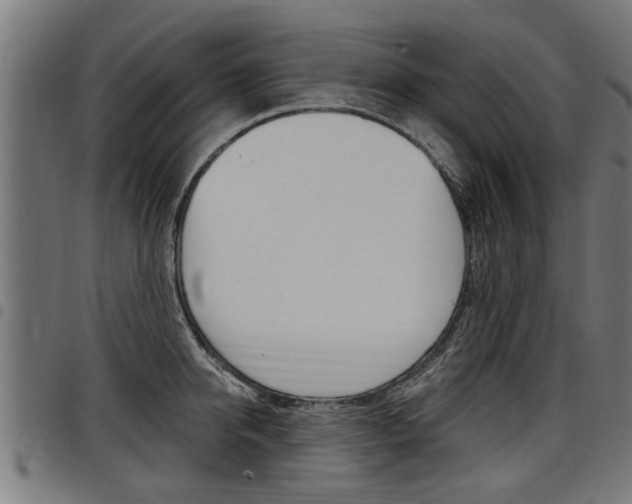 X0000098010950200803280728