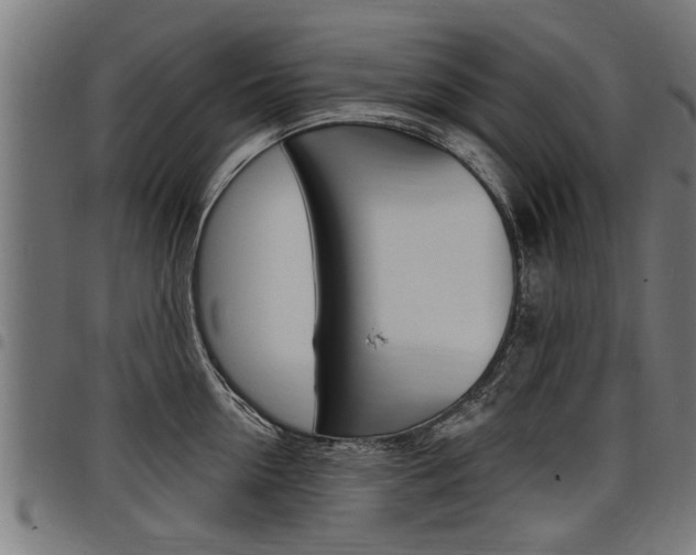 X0000098010954200803280728