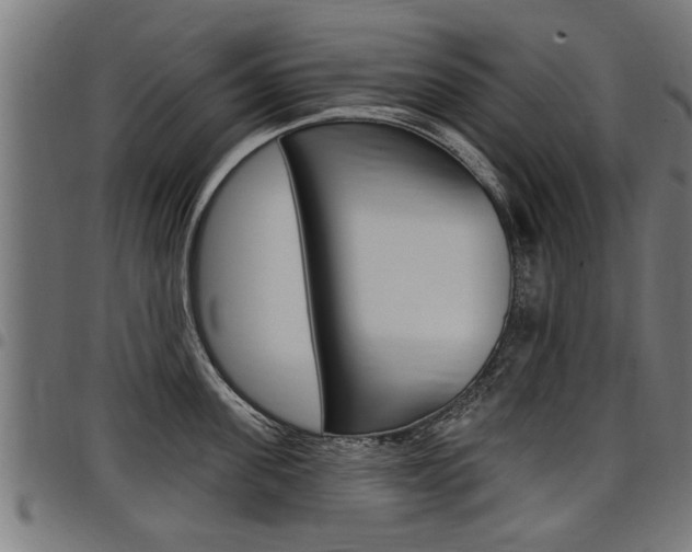 X0000098010955200803280728