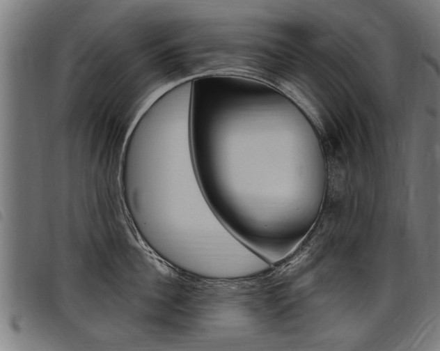 X0000098010956200803280728