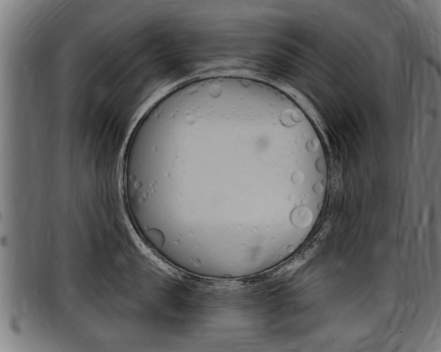 X0000098010957200803280728