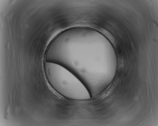 X0000098010958200803280728