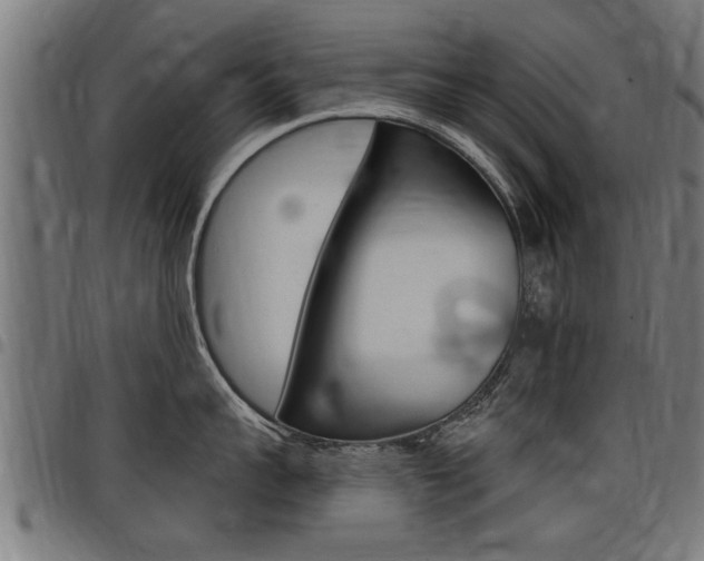 X0000098010959200803280728