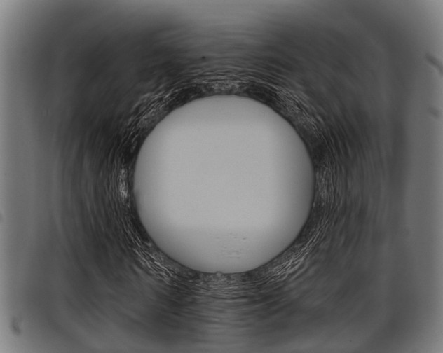 X0000098010962200803280727