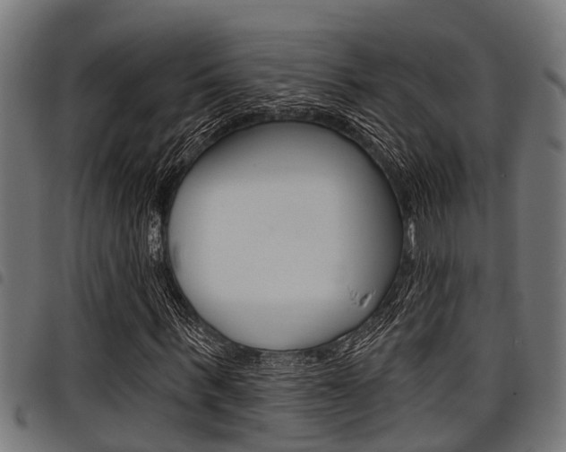 X0000098010963200803280727