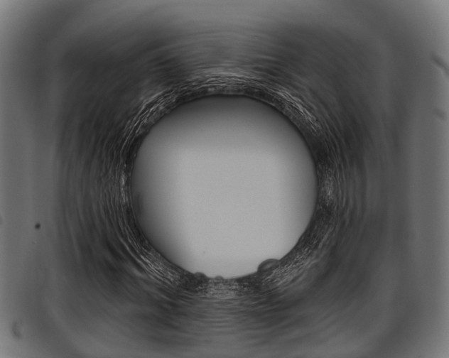 X0000098010964200803280727